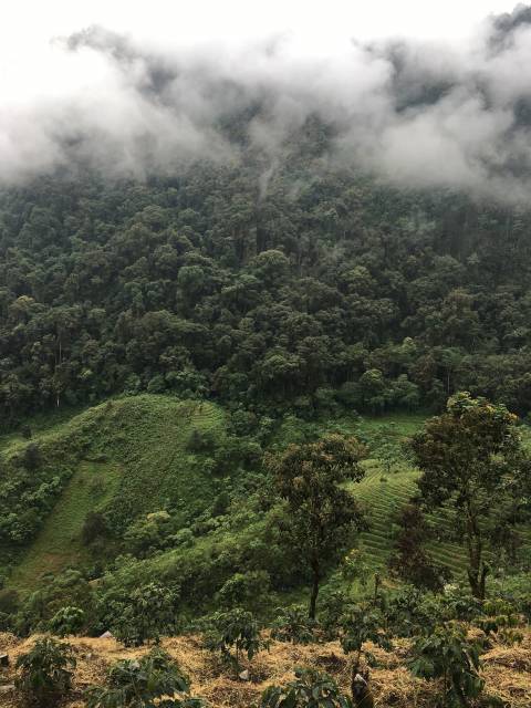 kawa z Gwatemali mała torebka